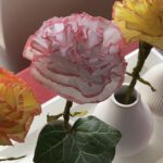 Nelke aus Krepppapier