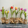Dekoflaschen (3er-Set) mit Manschette – Bild 3