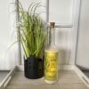 Glasflasche mit Spruch: "YOU ARE THE GIN TO MY TONIC. CHEERS!" mit 5er LED-Beleuchtung (Batteriefach)