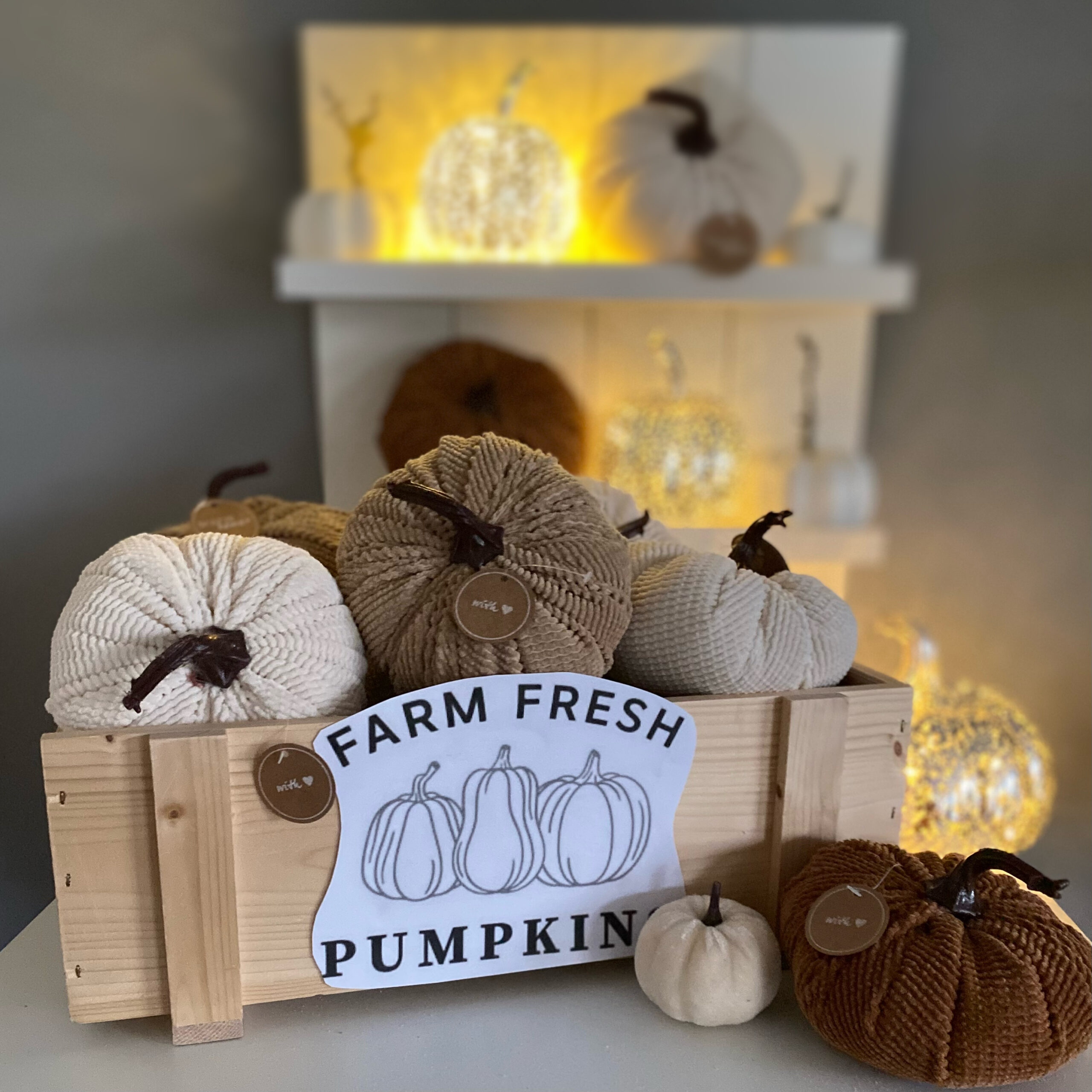 Deko-Kürbis "HAILEY" , 3teiliges Set – Bild 3